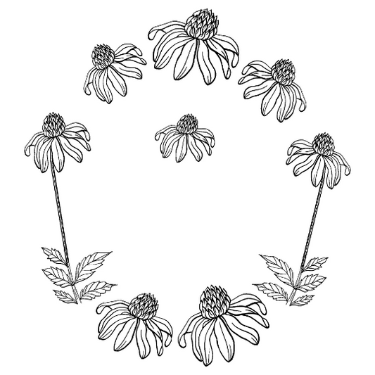 Coneflower hat burning design