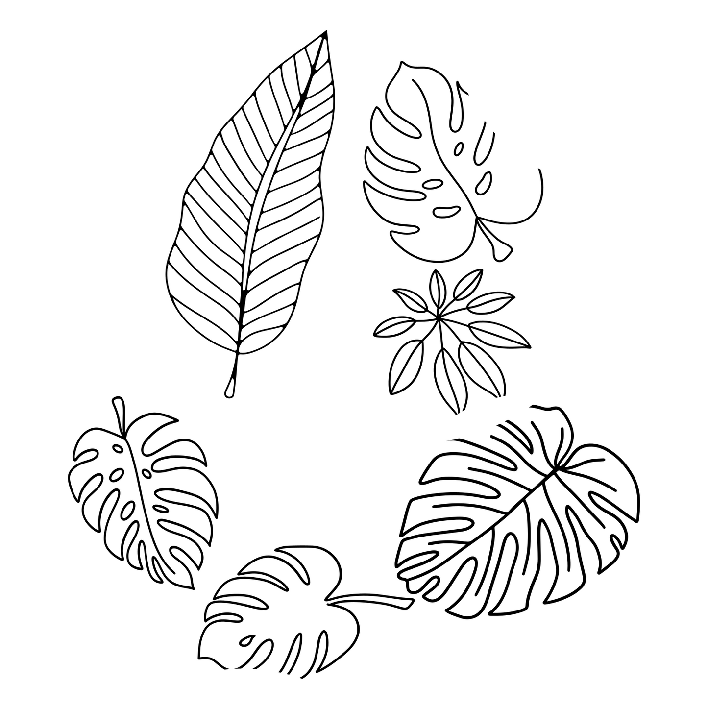 Monstera Leaves baseball hat burning design