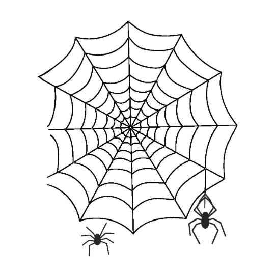 Spider Web baseball hat burning design