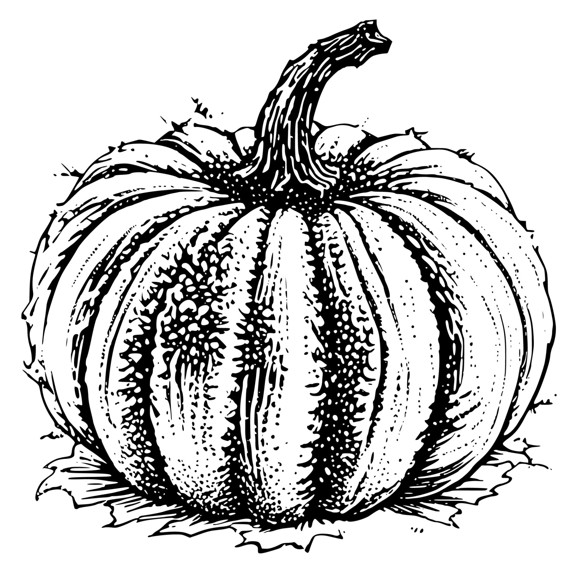 Black and white illustration of a pumpkin