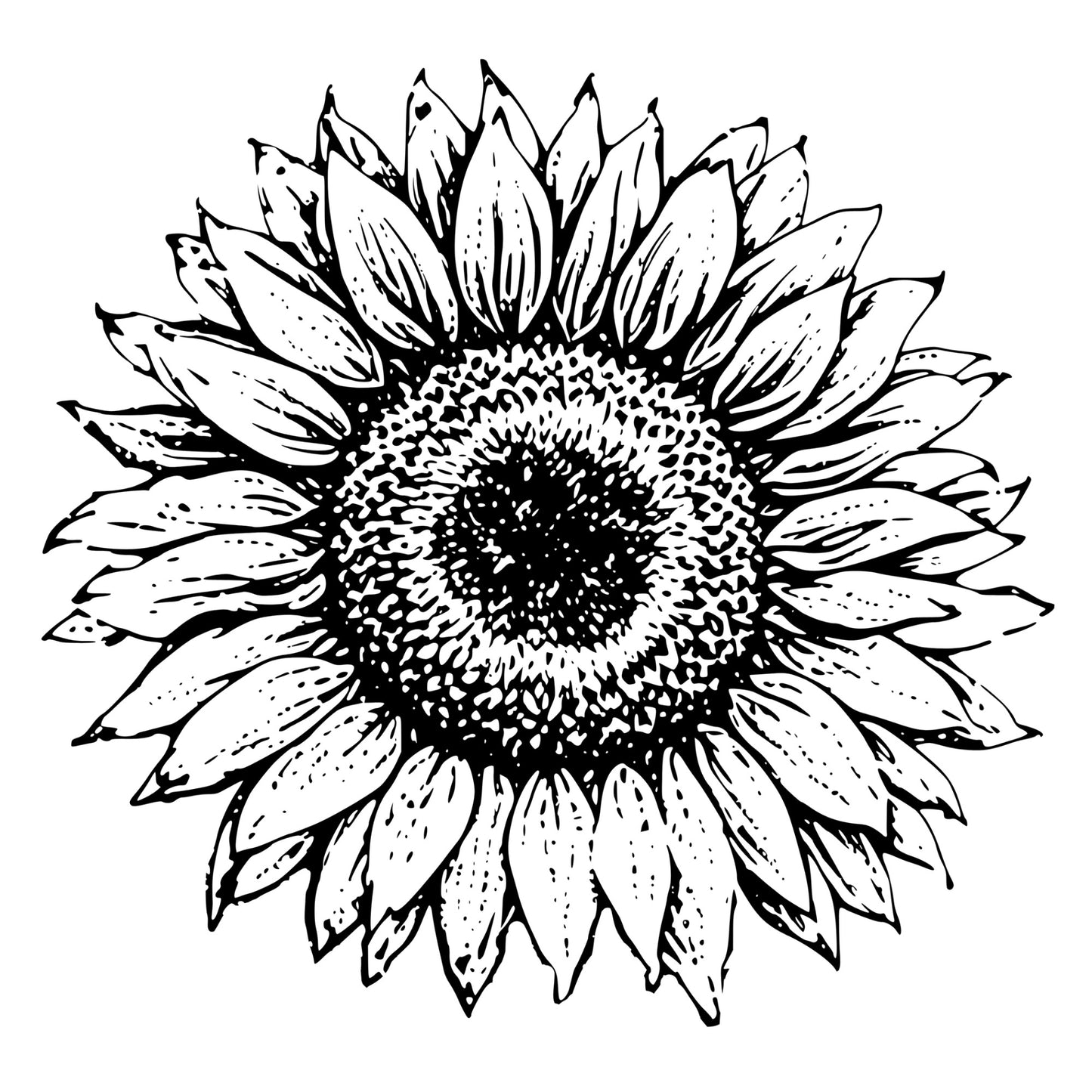 Sunflower Bloom Graphic Design PNG