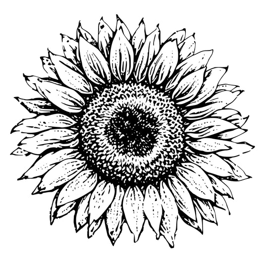 Sunflower Bloom Digital Design PNG