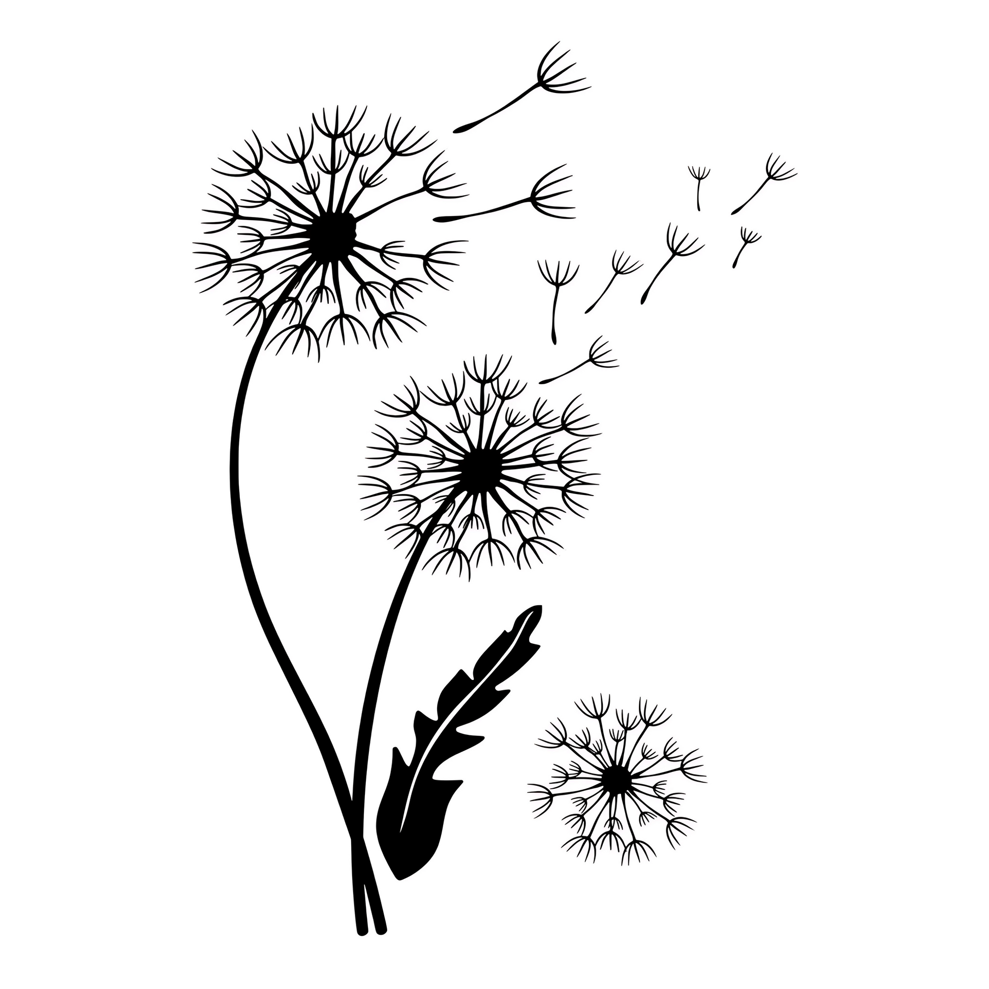 Black and white illustration of dandelions with seeds blowing away on a white background