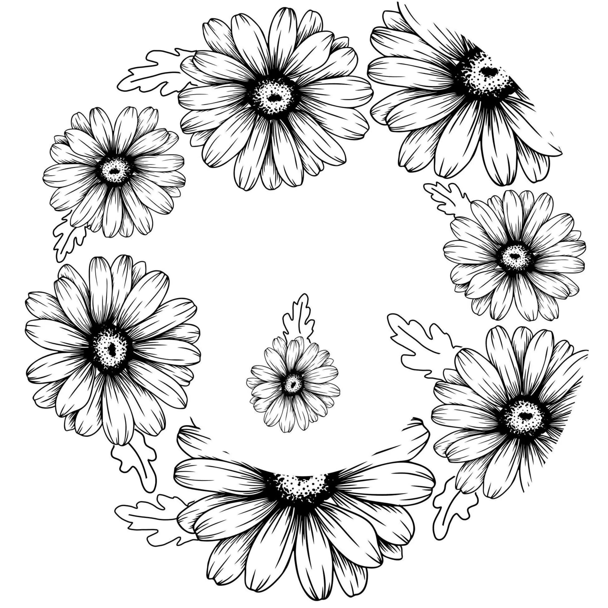 Daisy Daze hat burning design for wide brim hats