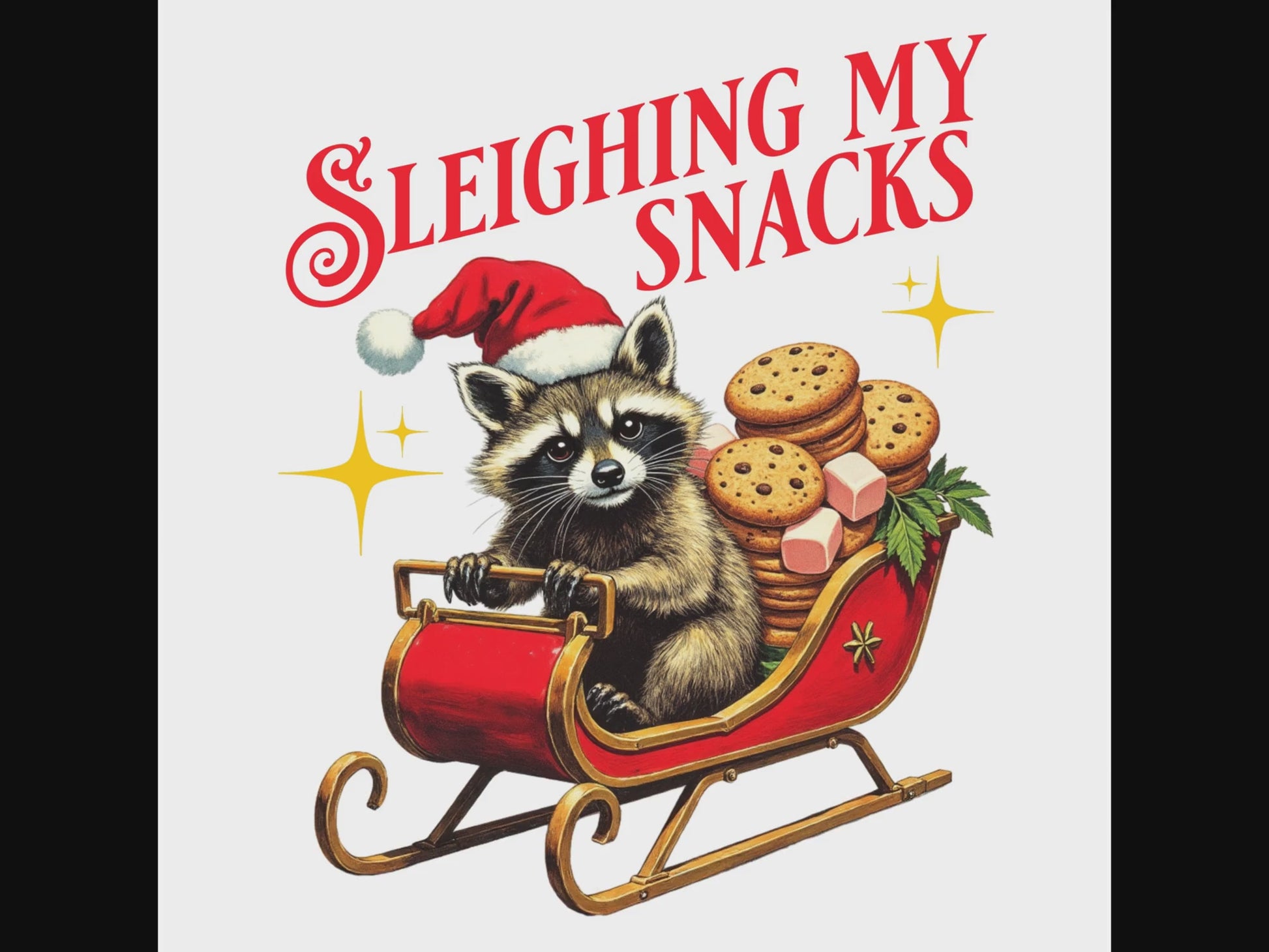 Sleighing My Snacks digital download product video