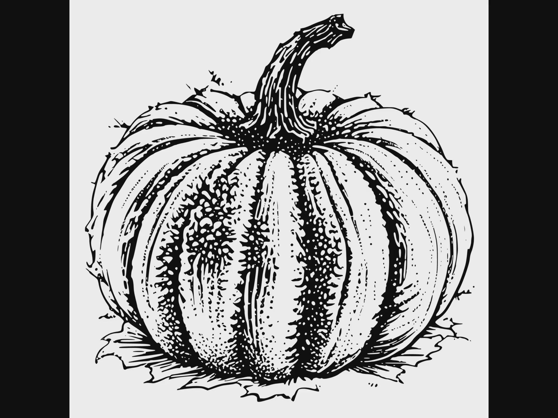 Fall pumpkin digital design product video