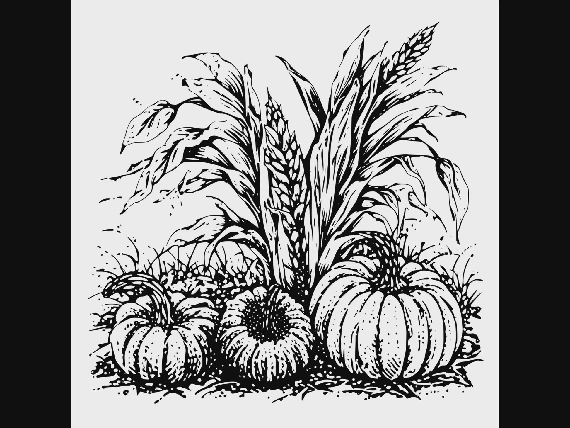 Pumpkins And Cornstalks digital design product video