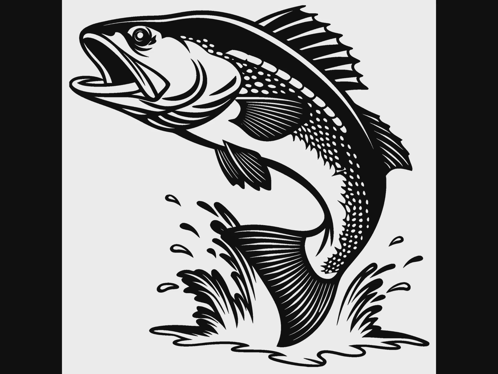 Walleye leaping out of water video