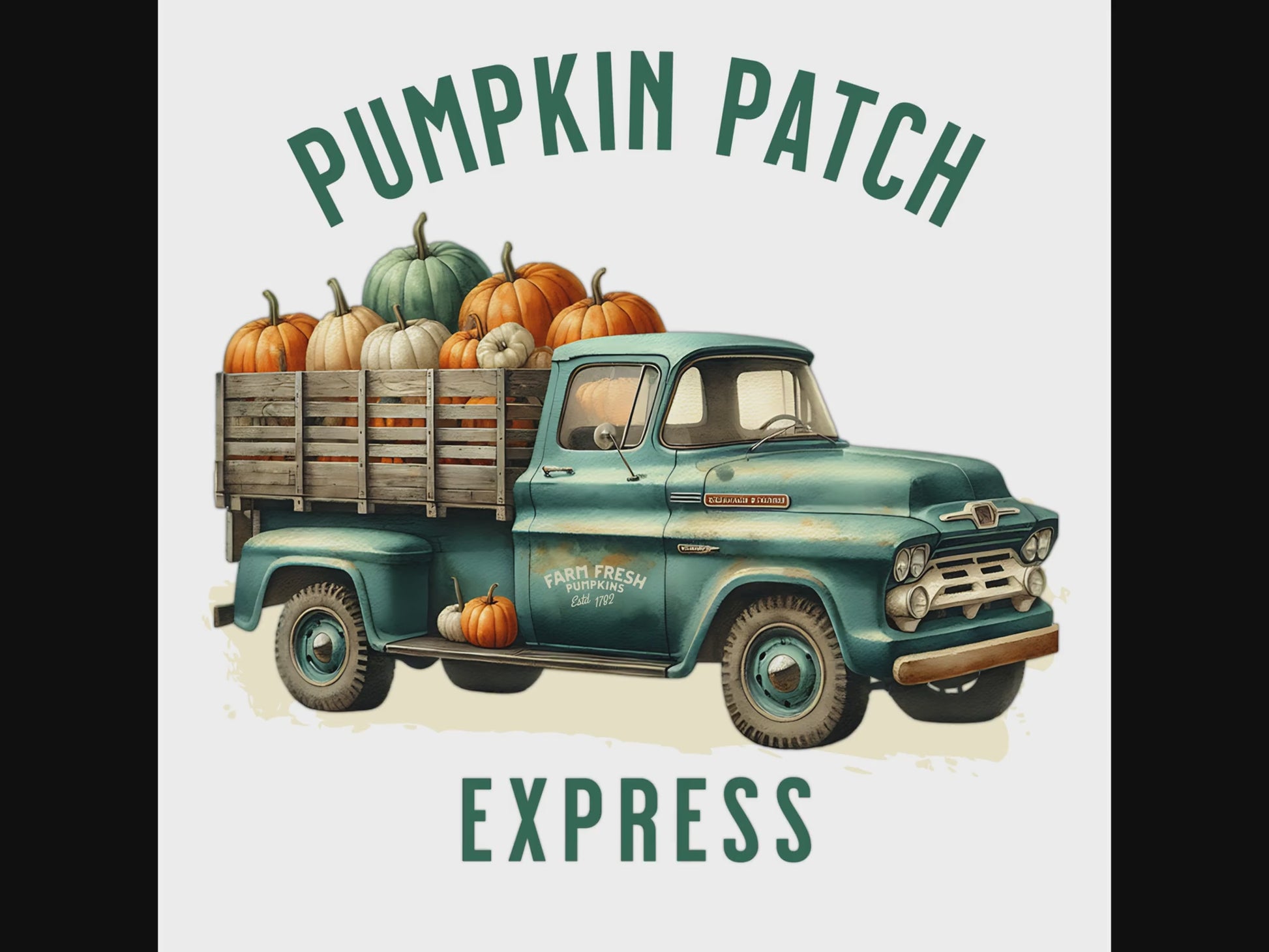 Pumpkin Patch Express digital design product video