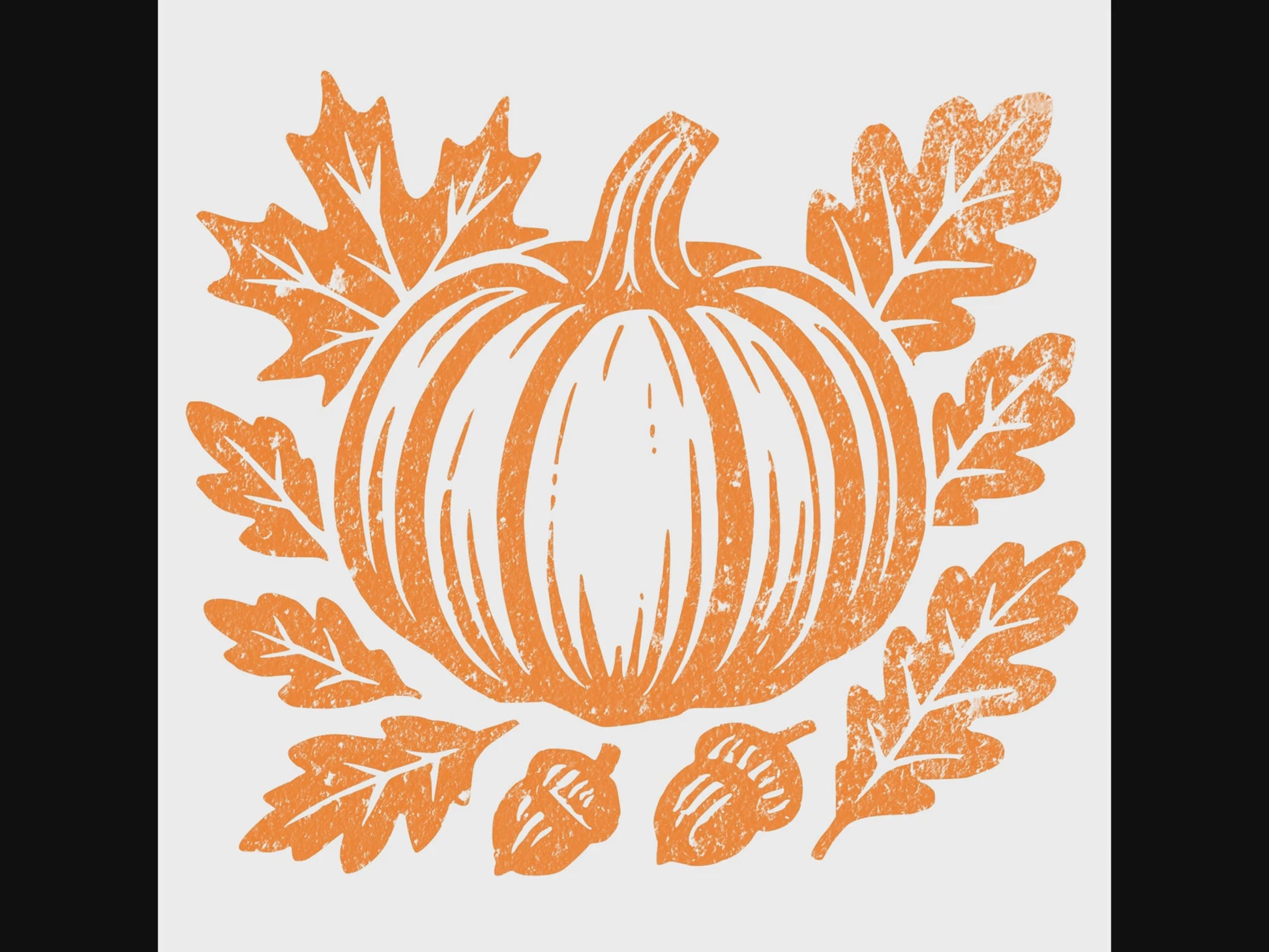 Fall pumpkin digital product video