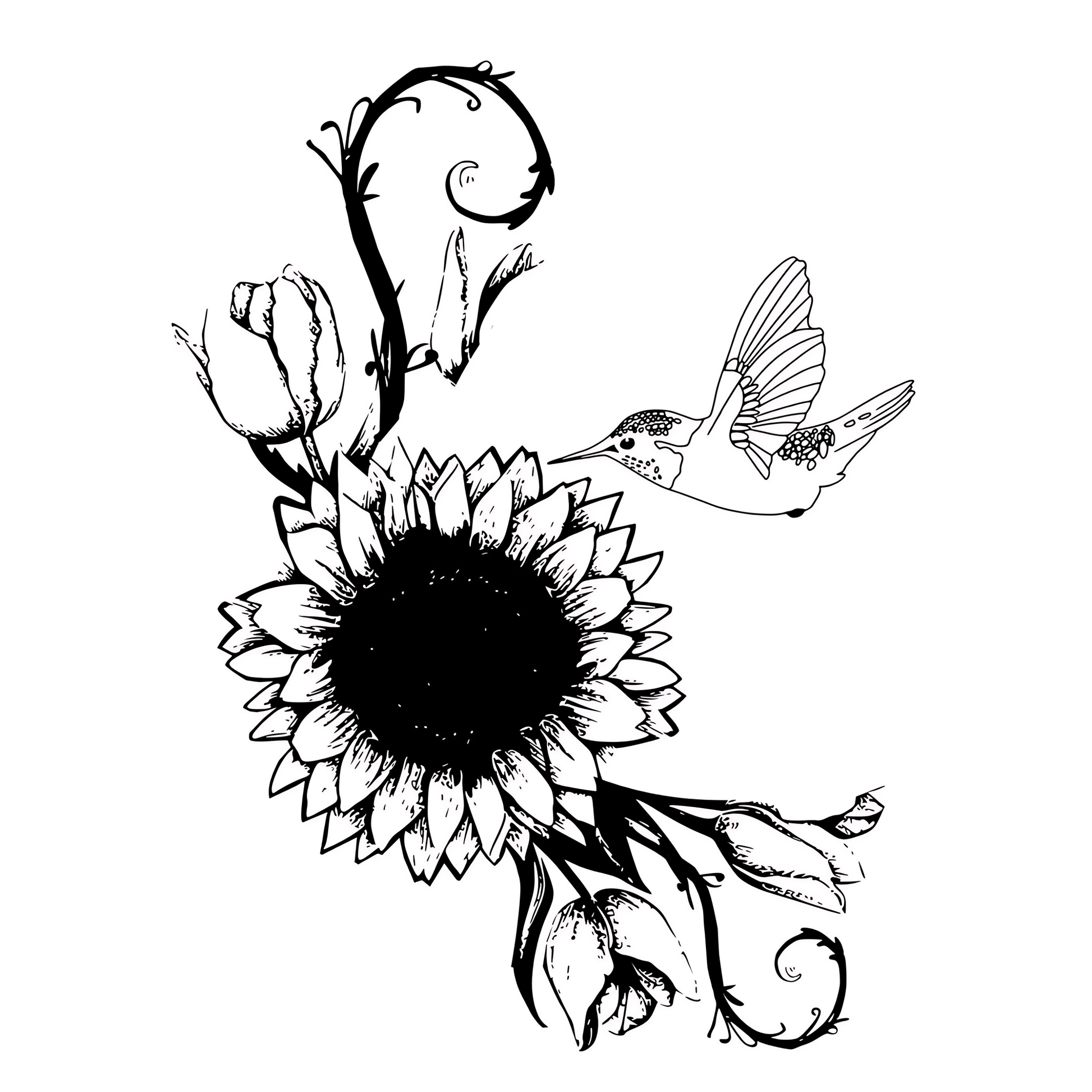 Black and white illustration of a sunflower and hummingbird on a white background