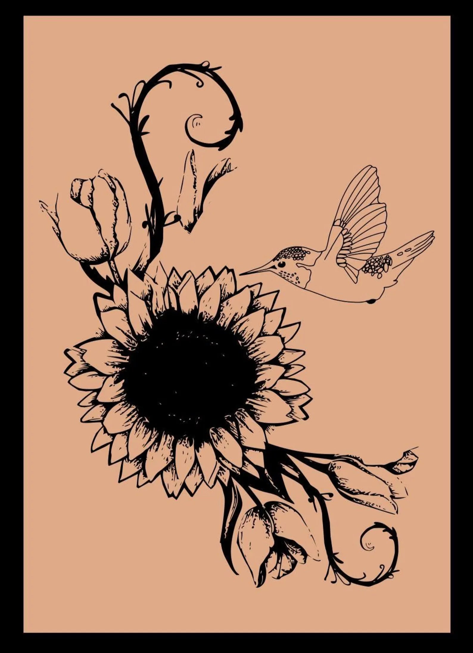 Black ink drawing of a sunflower and hummingbirds on a beige background