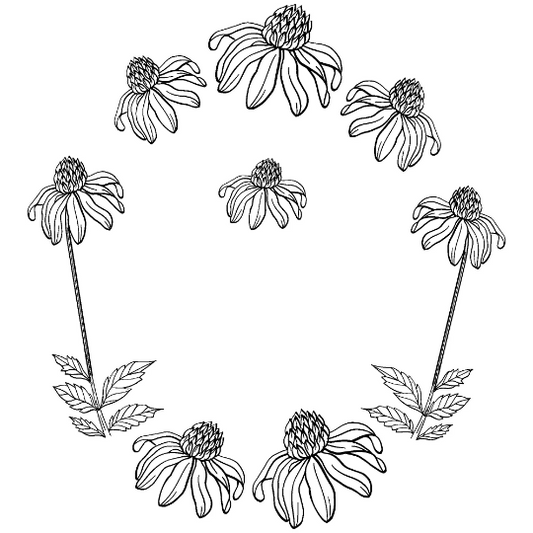 Coneflower hat burning design