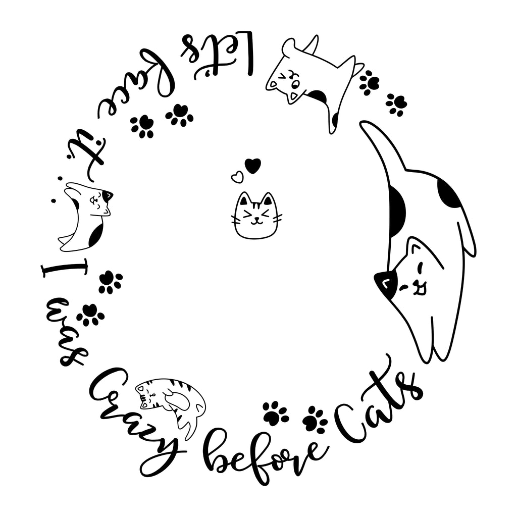 Crazy Cat Lady hat burning design