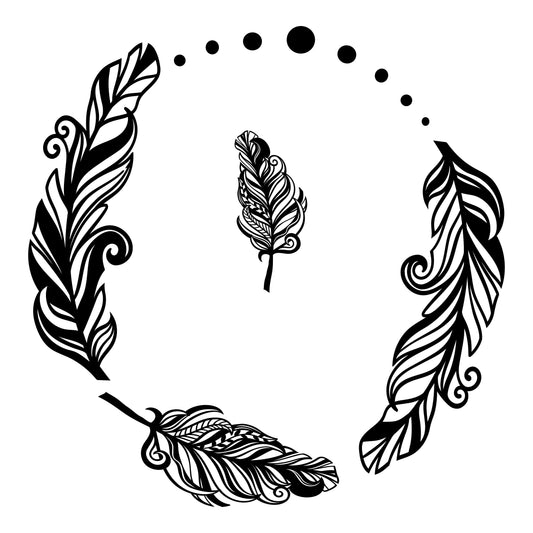 Fancy Feathers wide brim hat design