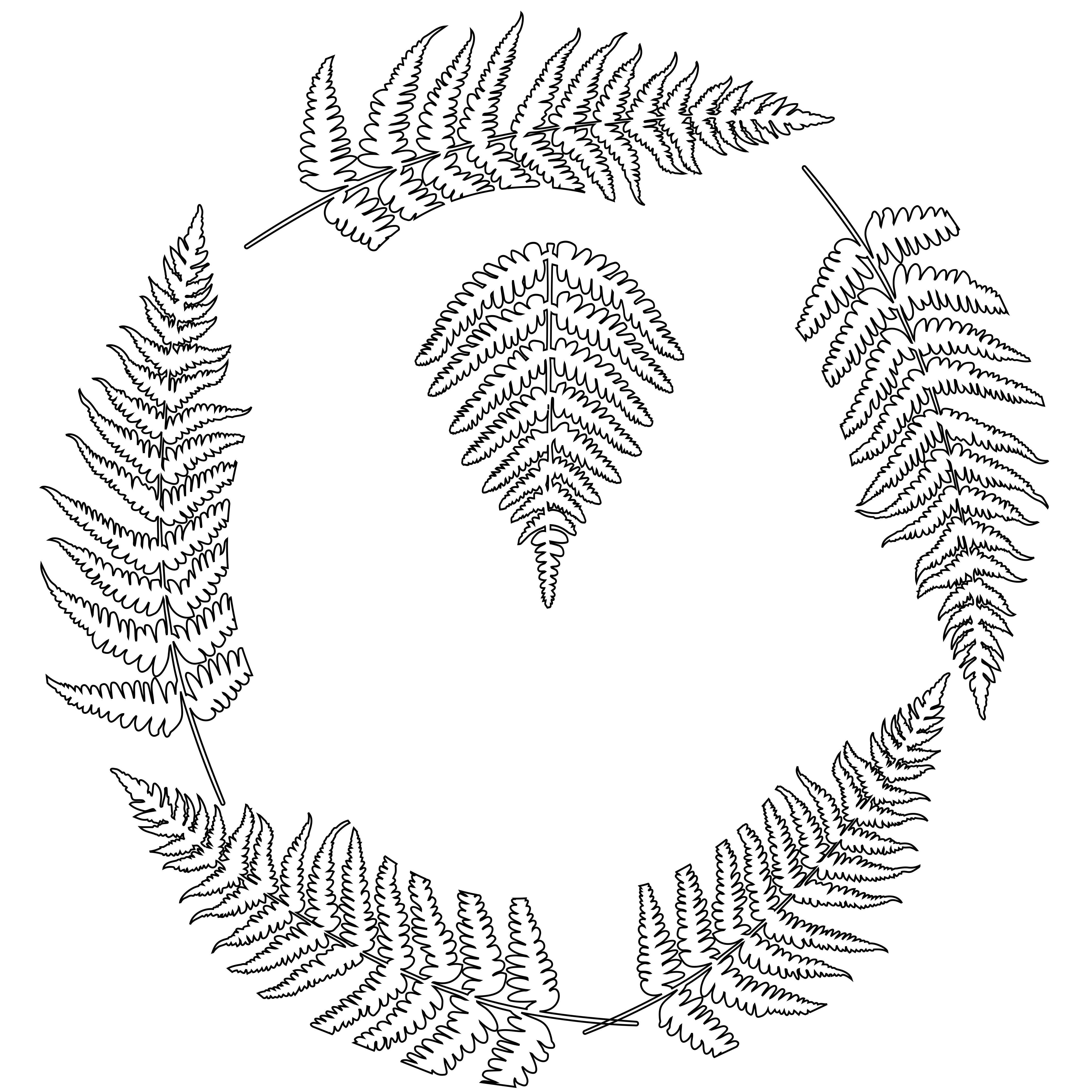 Ferns Traceable Hat Burning Design