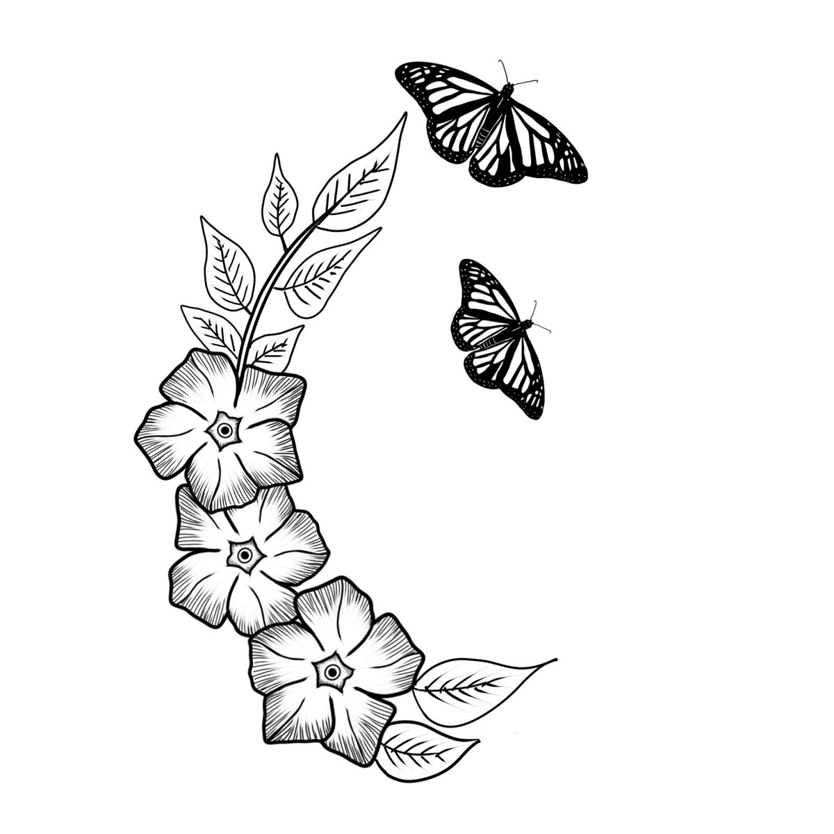 Periwinkle butterflies on a white background