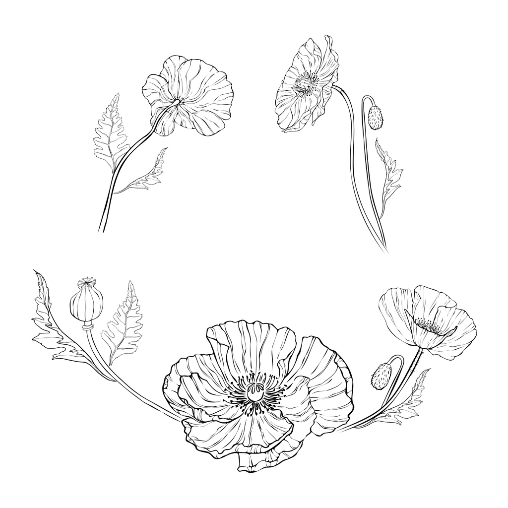 Poppies baseball cap hat burning design