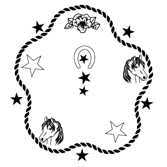 Stars Rope Pony hat burning design