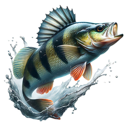 Colorful perch fish with a splash of water on a white background