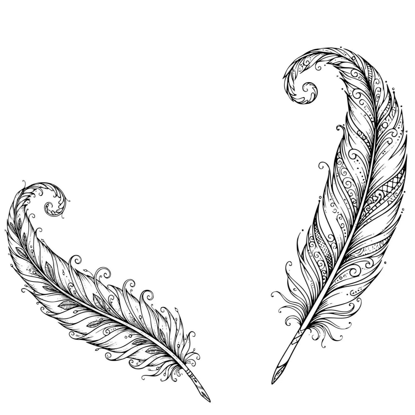 Two intricately designed feathers on a white background