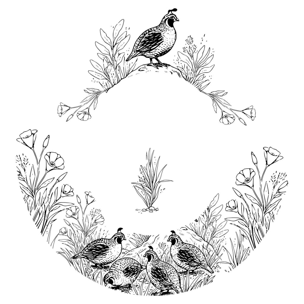 Illustration of birds and plants in a circular wreath on a white background