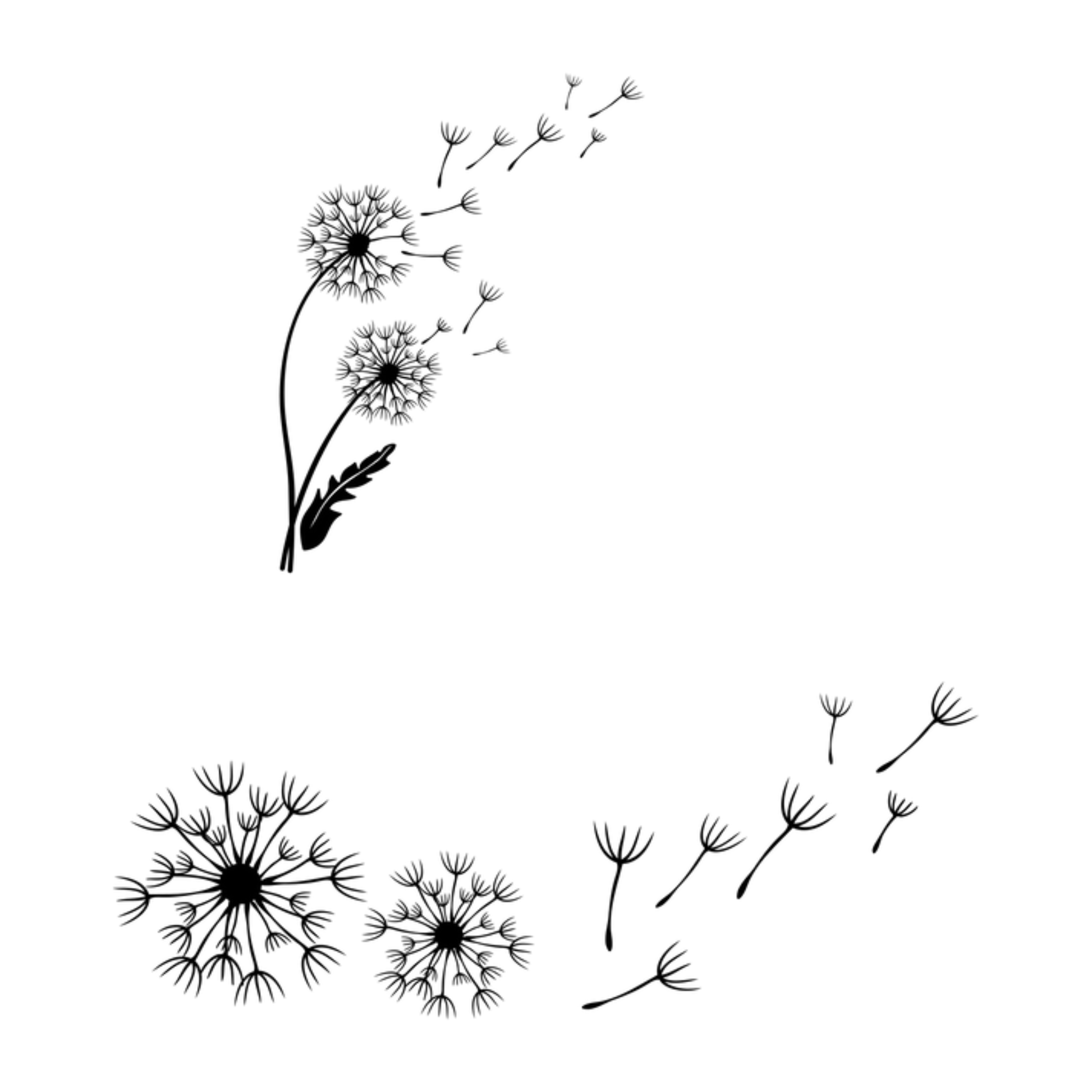 Black and white illustration of dandelions with seeds blowing away on a white background