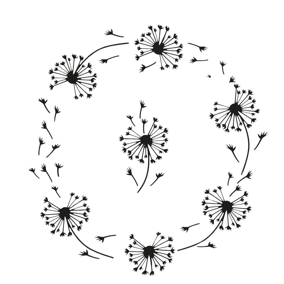 Black dandelion seeds arranged in a circular pattern on a white background