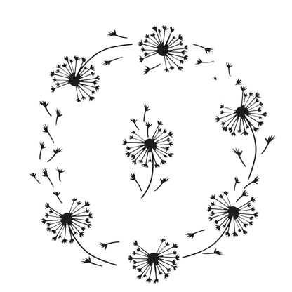 Black dandelion seeds arranged in a circular pattern on a white background