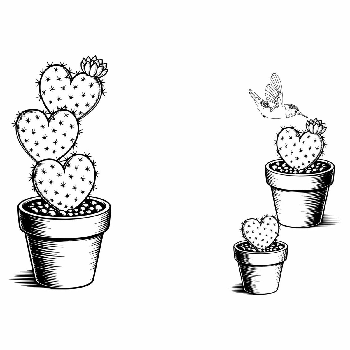 Illustration of heart-shaped cacti in pots with a hummingbird on a white background