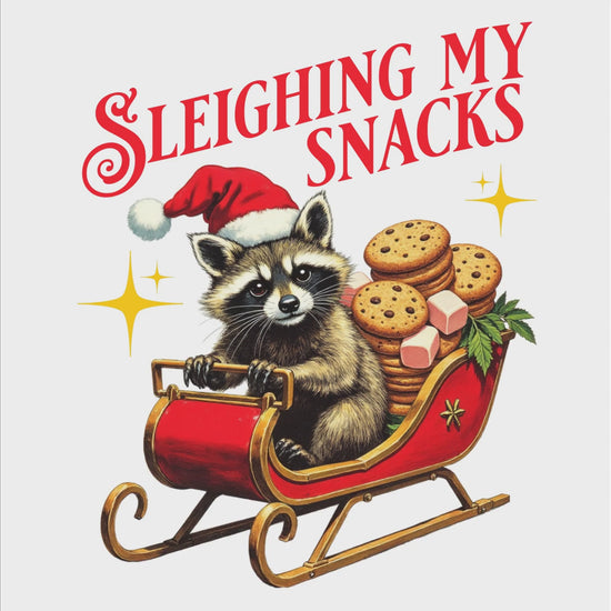 Sleighing My Snacks digital download product video