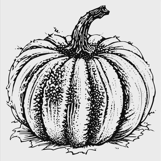 Fall pumpkin digital design product video