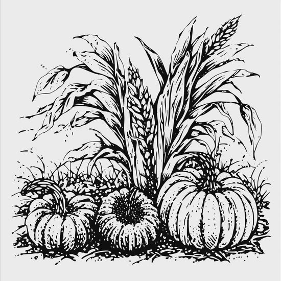 Pumpkins And Cornstalks digital design product video