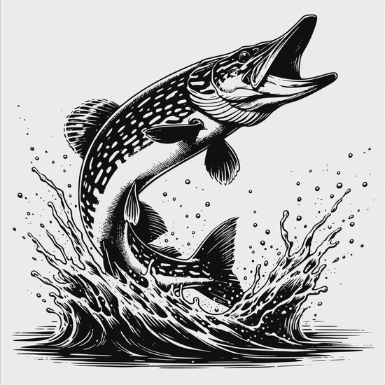 Northern pike digital design product video
