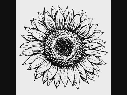 Sunflower Bloom Graphic Design PNG