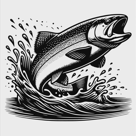 Rainbow trout digital design product video