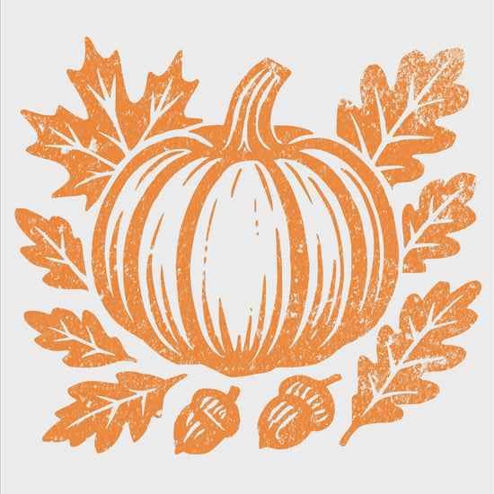 Fall pumpkin digital product video