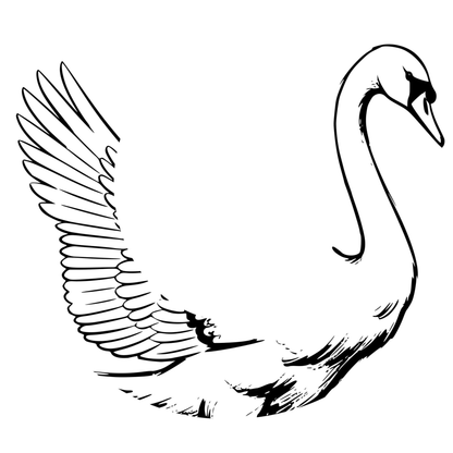 Black and white line drawing of a swan with one wing raised on a white background
