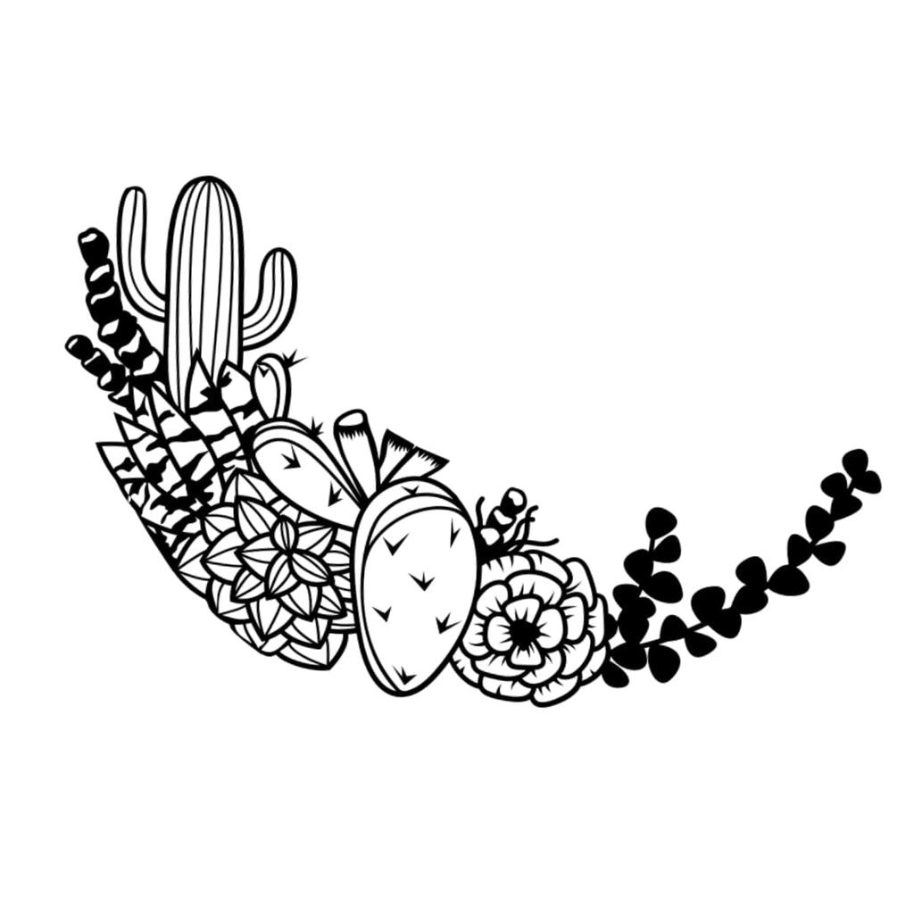 Black and white illustration of cacti and succulents on a white background